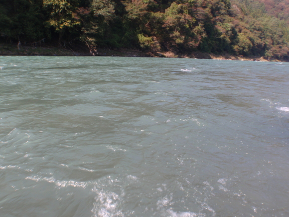 e0018843_1315272.jpg