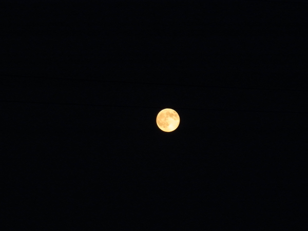 a0175545_17531678.jpg