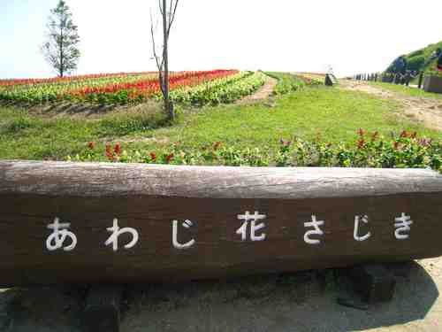 f0233356_19424052.jpg