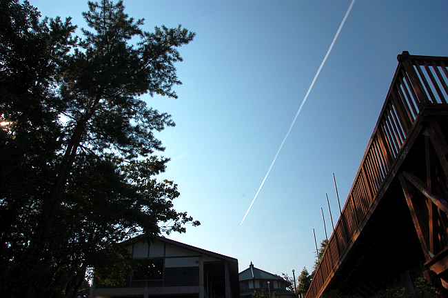 c0109957_2324617.jpg