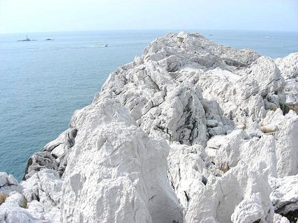 e0044657_2382259.jpg