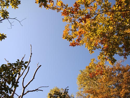 c0011862_11172225.jpg