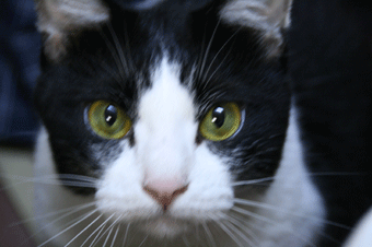 d0065364_1443112.gif