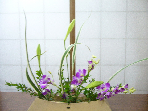 e0086864_23332083.jpg
