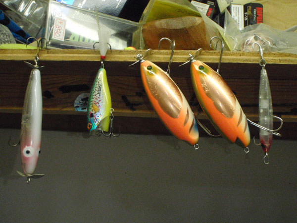 a0190865_22474888.jpg