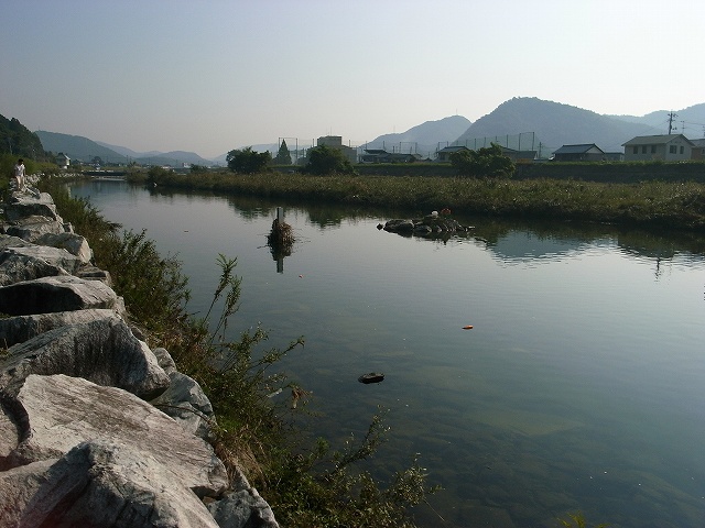d0128465_8455825.jpg