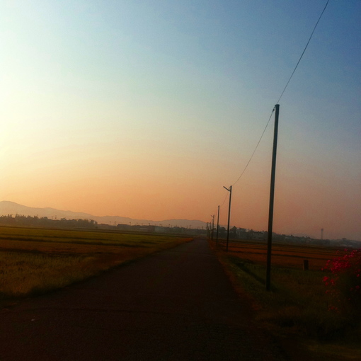 d0251768_21382881.jpg