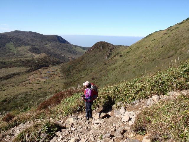c0042869_1854167.jpg