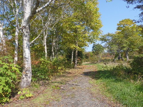 d0084473_1943979.jpg