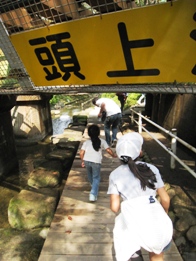 a0162874_10017.jpg