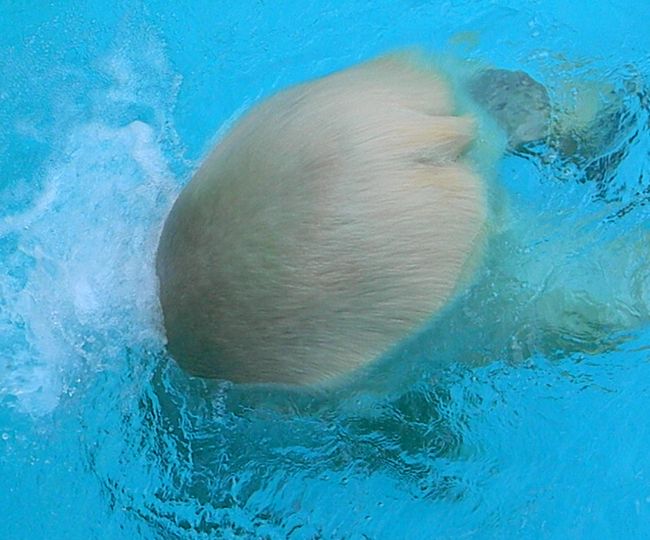 b0014576_714131.jpg