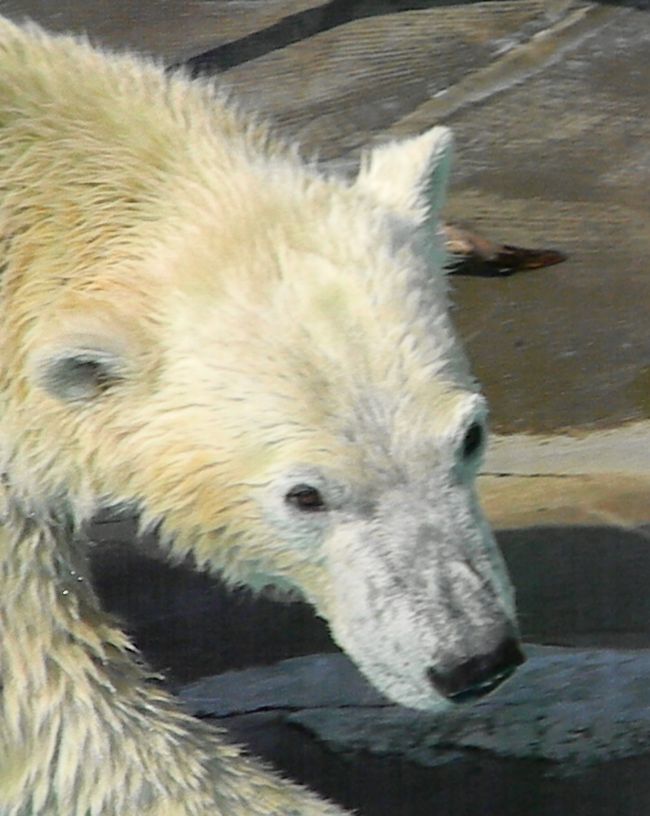 b0014576_7193085.jpg