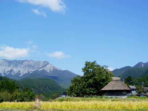 d0179983_21551221.jpg