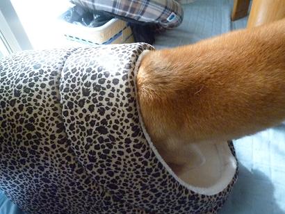 c0123890_2011713.jpg