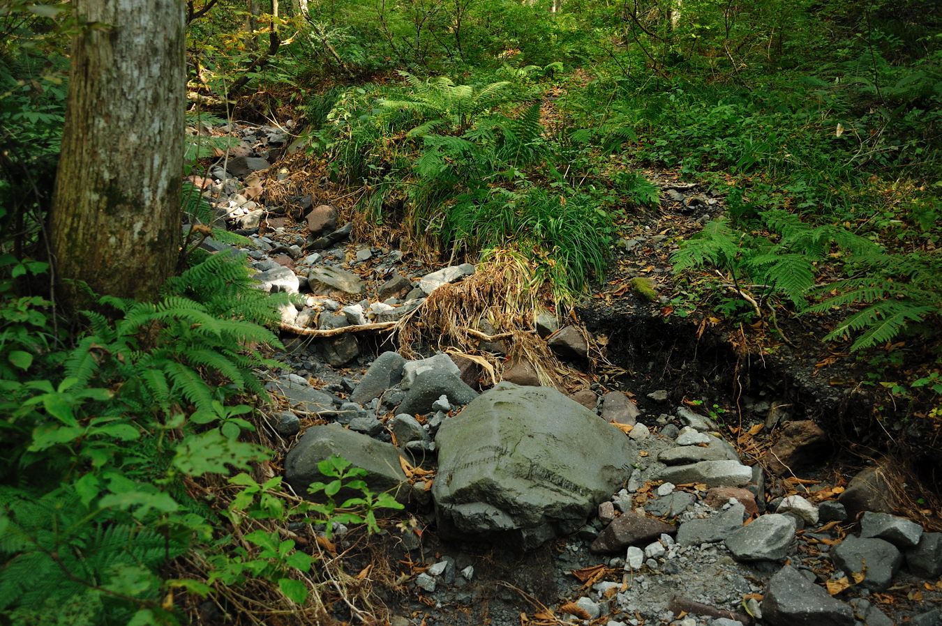 c0138991_20383829.jpg