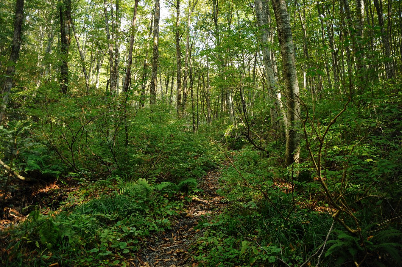 c0138991_20394550.jpg