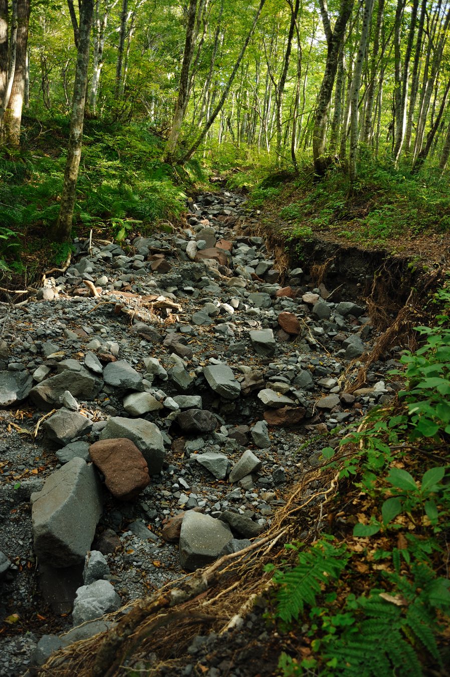 c0138991_20401386.jpg