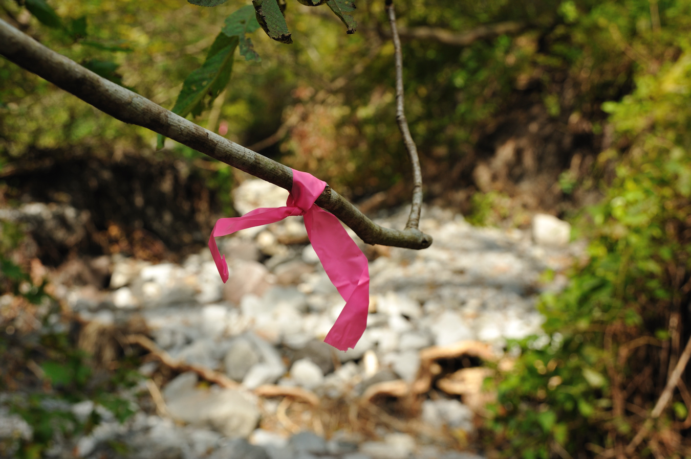c0138991_21213360.jpg