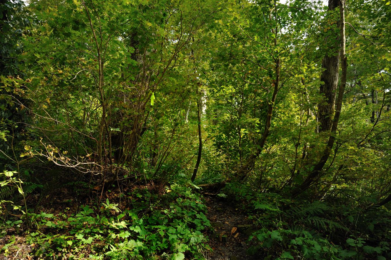 c0138991_21283360.jpg