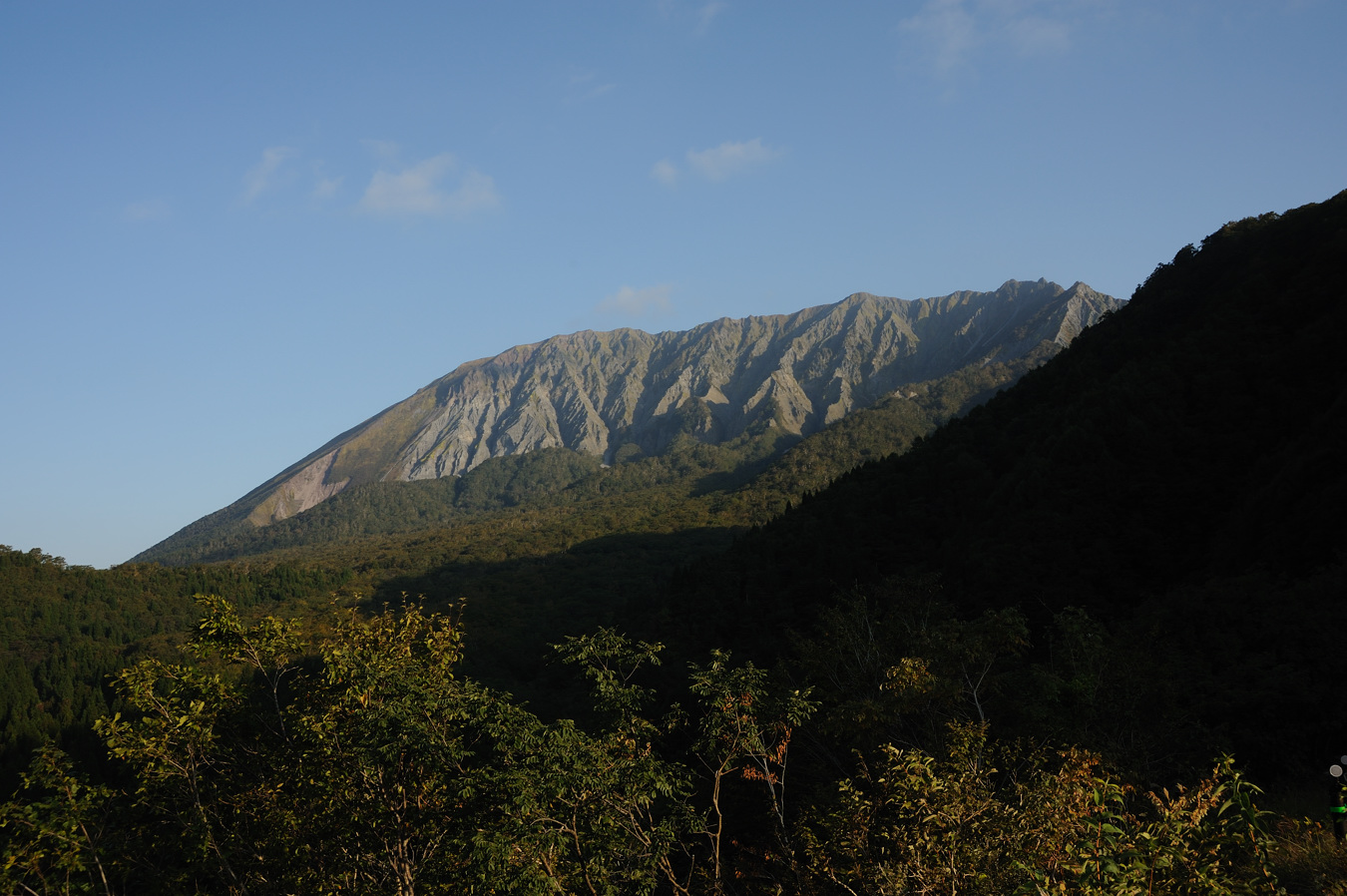c0138991_710333.jpg