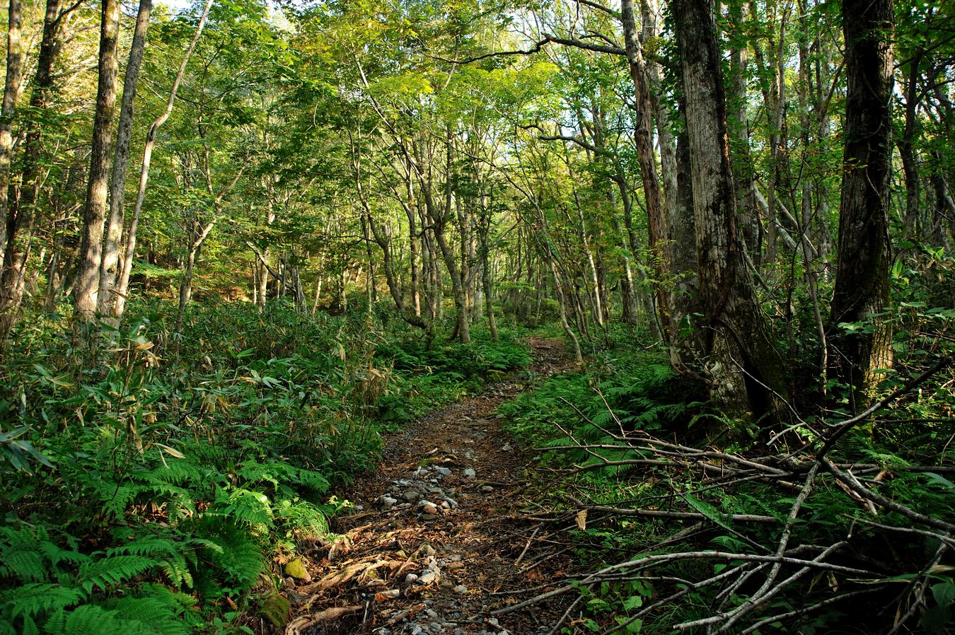 c0138991_7134517.jpg