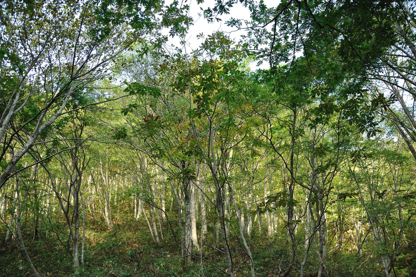c0138991_7141595.jpg