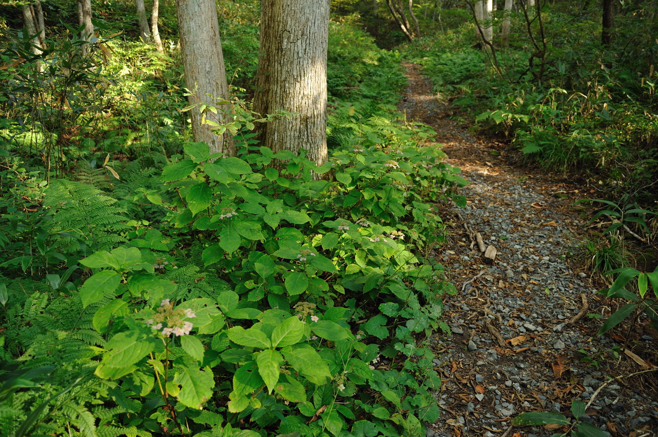 c0138991_7162445.jpg