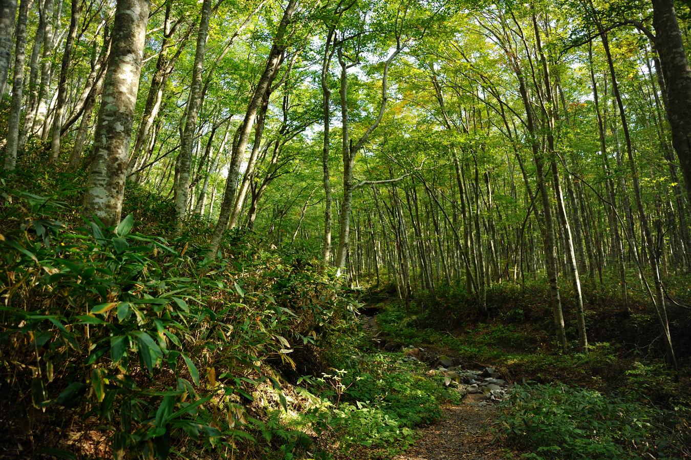c0138991_7172747.jpg