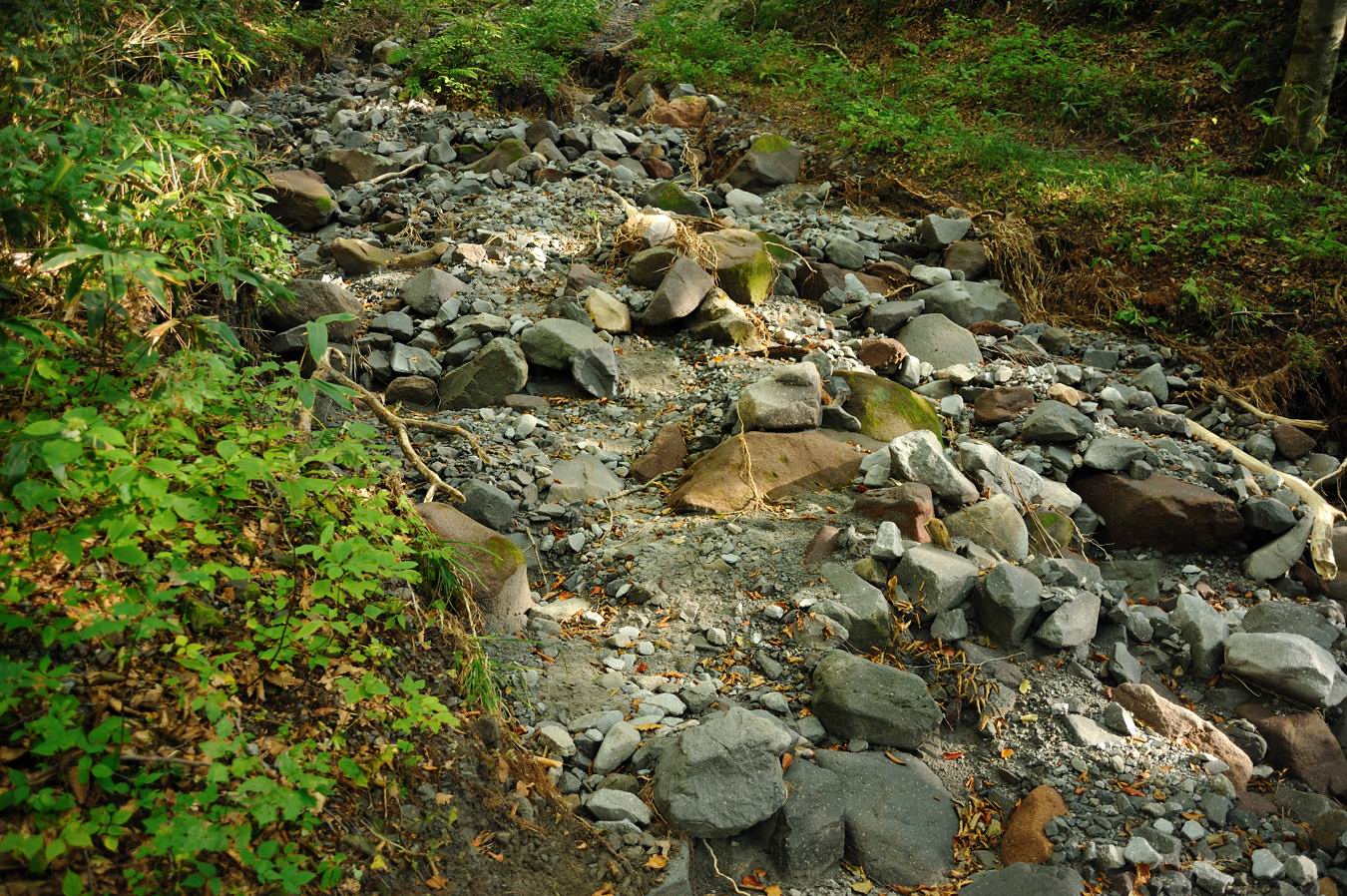 c0138991_718435.jpg