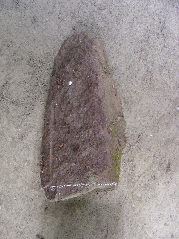 d0212491_11331756.jpg