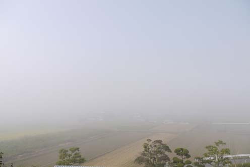 f0222692_974753.jpg