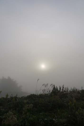 f0222692_984541.jpg