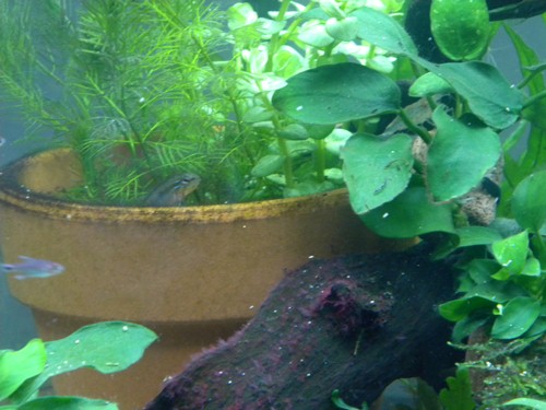 f0138093_7494662.jpg