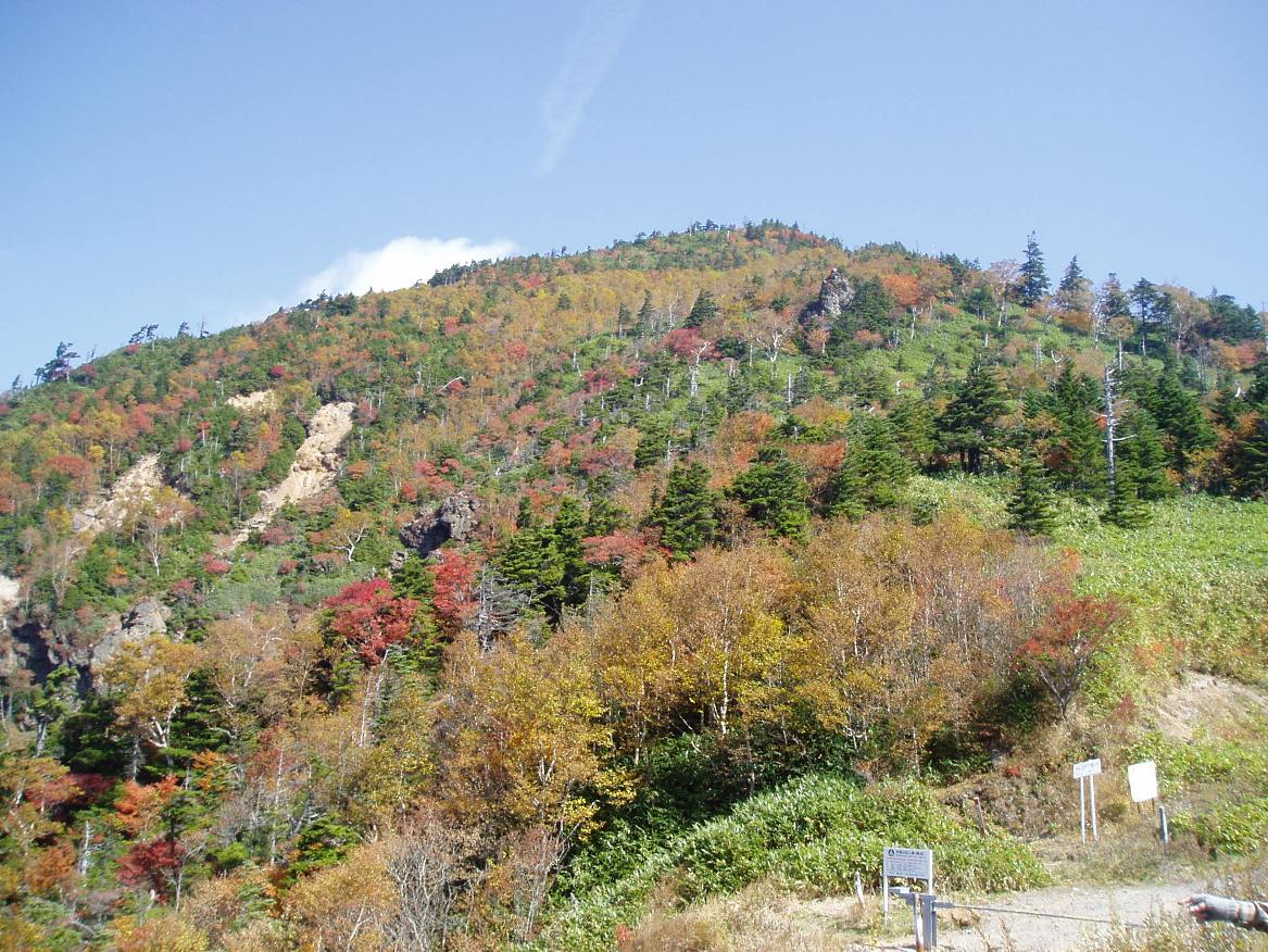 f0221693_18114528.jpg