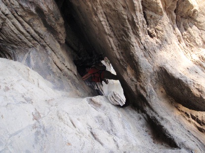 e0077899_728354.jpg