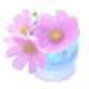 c0074000_2231196.gif