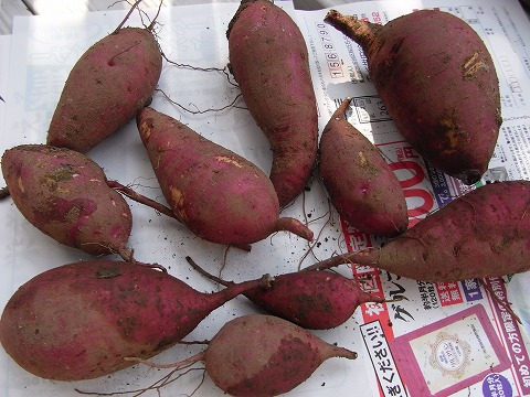 f0187402_21143354.jpg