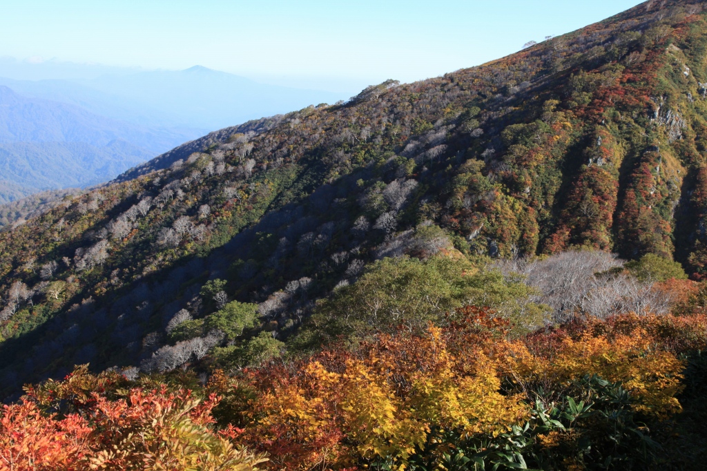 b0050305_66128.jpg