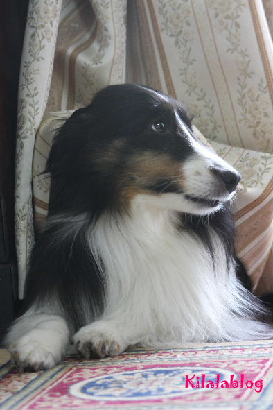 e0130008_2021070.jpg