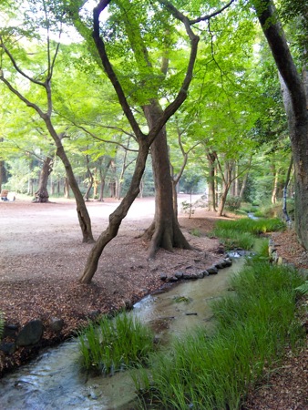 c0114110_16443515.jpg