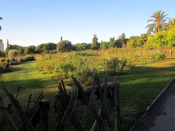 b0064411_5371810.jpg