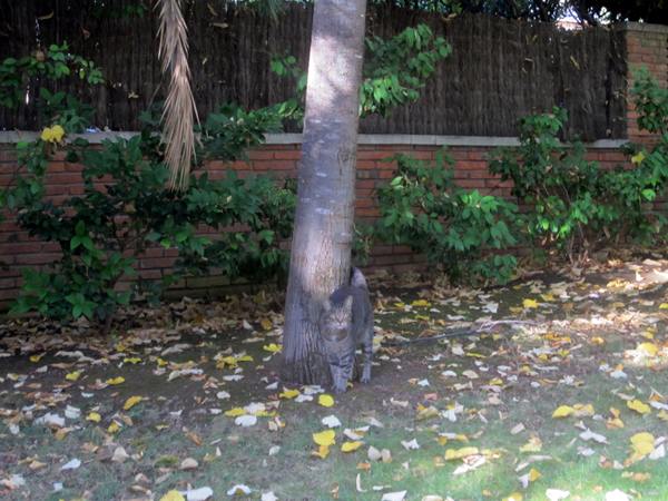 b0064411_6314289.jpg