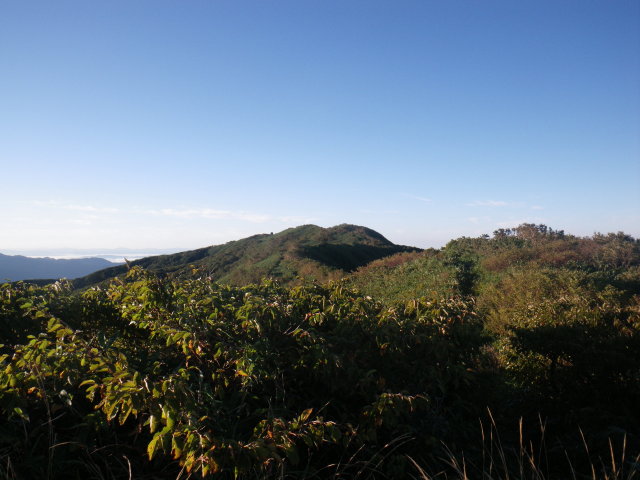 d0006512_23192667.jpg