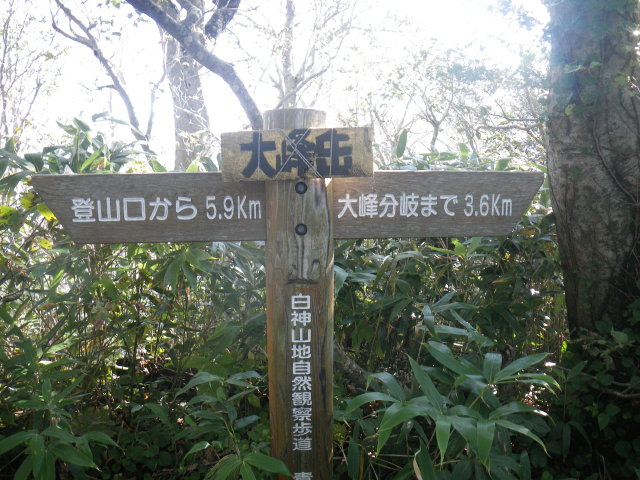 d0006512_23234125.jpg