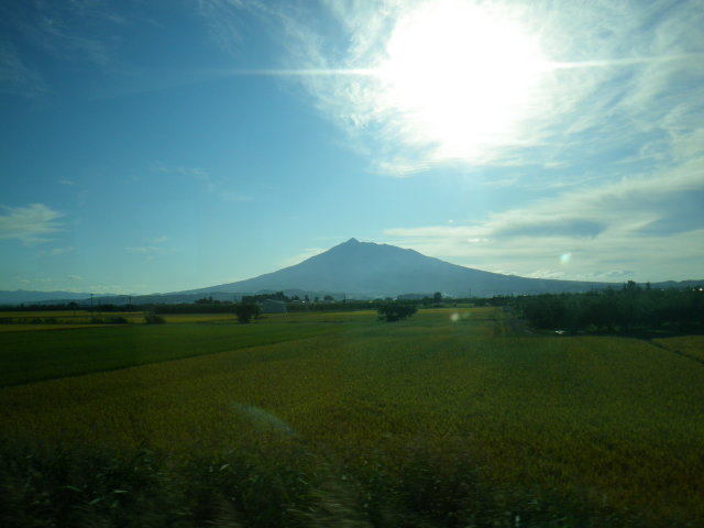 d0006512_2336354.jpg