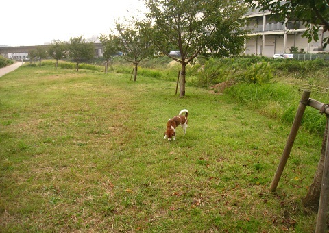 c0084117_1240354.jpg