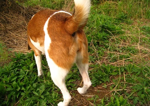 c0084117_1242060.jpg