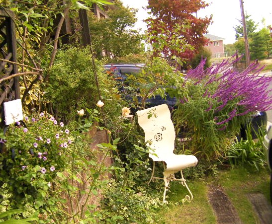 c0204121_9331587.jpg