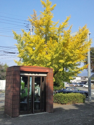 b0199924_10103817.jpg