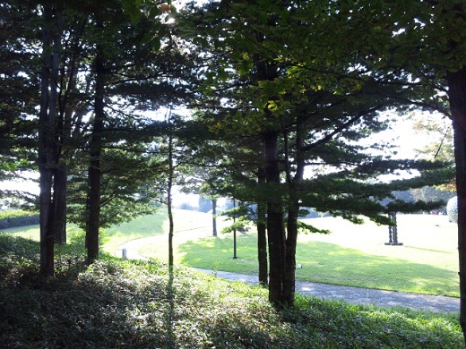 b0199924_10104689.jpg